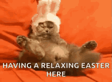 Cat Wagging Tail GIF - Cat Wagging Tail Having A Relaxing Easter Here GIFs