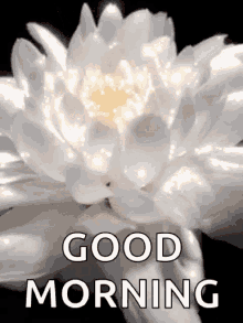 Good Morning Sparkles GIF - Good Morning Sparkles White Flower GIFs