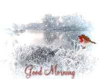 Good Morning Morning Snow Sticker - Good Morning Morning Snow Nature Stickers
