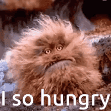 Hangy Hungry GIF - Hangy Hungry Dark Crystal GIFs