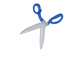 cut scissors