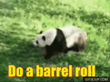 Barrel Roll GIF - Barrel Roll Panda GIFs