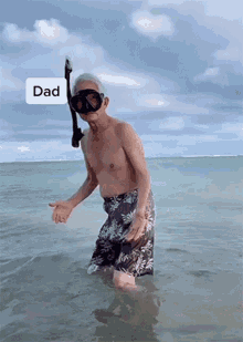 Dad Fathers Day GIF - Dad Fathers Day Dancing GIFs