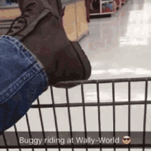 walmart wallyworld buggyriding pushingcarts carts