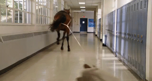 Dragged By A Horse GIF - Fist Fight Horse Dragged GIFs