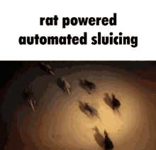 Rat Powered Rat Powered Automated Sluicing GIF - Rat Powered Rat Power GIFs