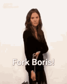 fork boris