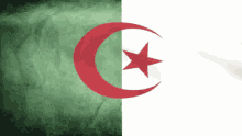 Flag Of Algeria Algerian Flag GIF - Flag Of Algeria Algerian Flag Waving GIFs