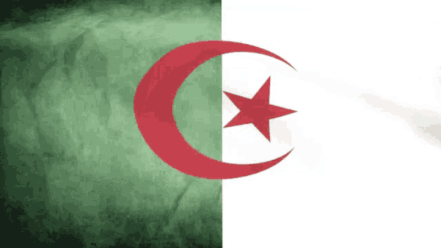 https://c.tenor.com/Z5tvXbw9losAAAAd/flag-of-algeria-algerian-flag.gif