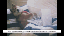 Work From GIF - Work From Home GIFs
