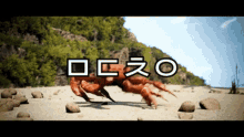ㅁㄷㅊㅇ Dance Crab GIF - ㅁㄷㅊㅇ Dance Crab Meme Crabs GIFs