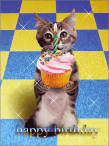 Happy Birthday Cat Kitty Cat GIF - Happy Birthday Cat Cat Birthday GIFs