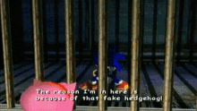 Sonic Sonic The Hedgehog GIF - Sonic Sonic The Hedgehog The Reason Im In Here GIFs