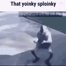 that sploinky
