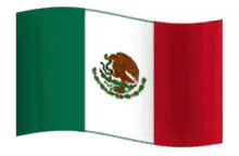 Mexican Flag GIF - Mexico GIFs