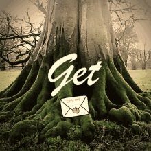 Roots Trees GIF - Roots Trees Dm Me GIFs