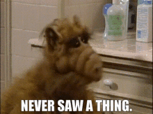 Alf Never Saw A Thing GIF - Alf Never Saw A Thing I Didnt See A Thing GIFs