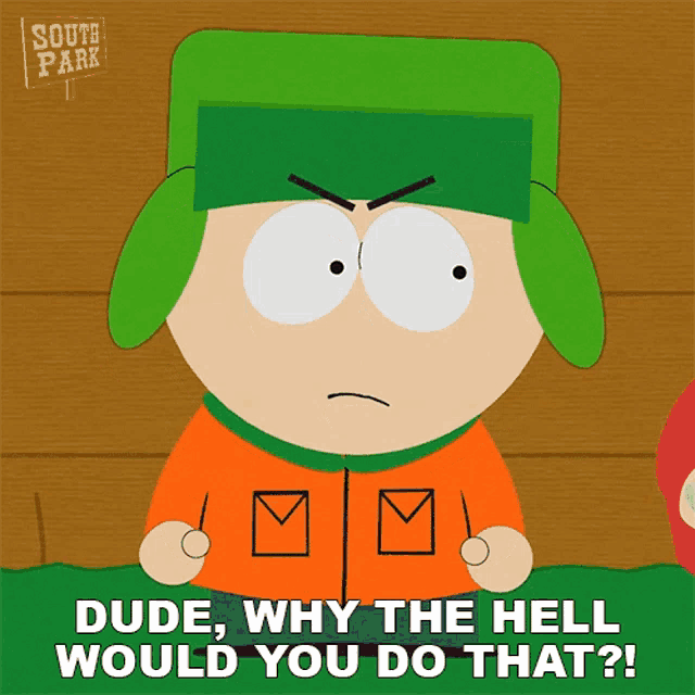 Dude Why The Hell Would You Do That Kyle Broflovski GIF Dude Why The
