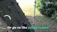 Go To The Playground The Pet Collective GIF - Go To The Playground The Pet Collective Cat GIFs