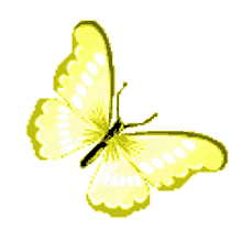 borboletas butterfly beautiful flying yellow butterfly