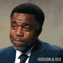 Sneer Joseph Donovan GIF - Sneer Joseph Donovan Hudson And Rex GIFs
