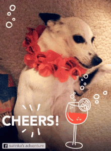 Dog Celebrate GIF - Dog Celebrate Howl GIFs
