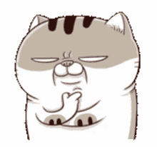 Ami Fat Cat Let Me Think GIF - Ami Fat Cat Let Me Think Hmm GIFs