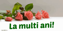 La Multi Ani Trandafiri GIF - La Multi Ani Trandafiri Ziua De Nastere GIFs