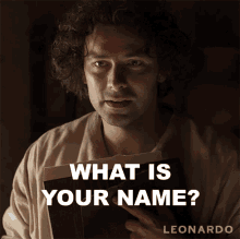 What Is Your Name Leonardo Da Vinci GIF - What Is Your Name Leonardo Da Vinci Aidan Turner GIFs