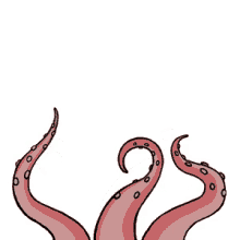 Tentacle Octopus GIF - Tentacle Octopus Squid GIFs