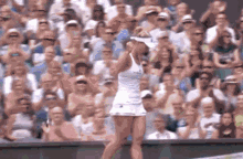 Angelique Kerber Serena Williams GIF - Angelique Kerber Serena Williams Wimbledon GIFs