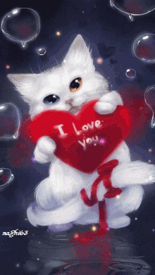 I Love You Cat GIF - I Love You Cat Kitten GIFs