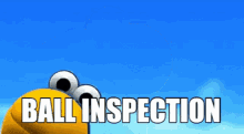 ball inspection