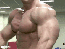 Massive Muscle Man Pec Bounce