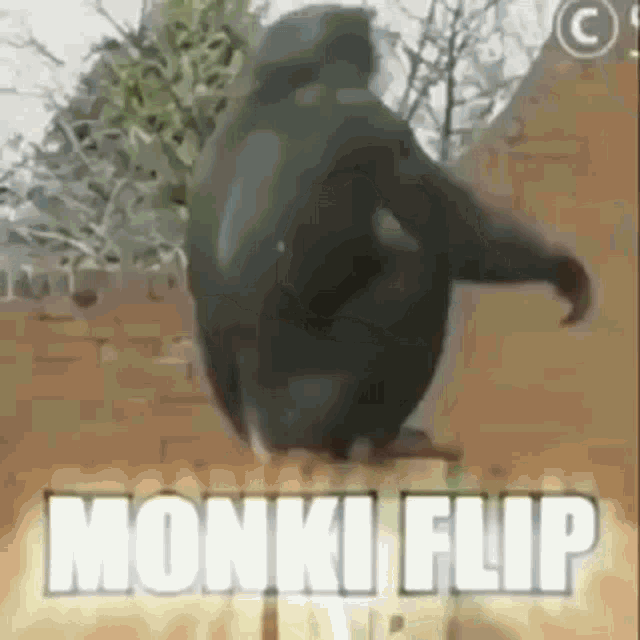 Monkey Happy GIF - Monkey Happy Flip GIFs.