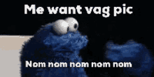 Cookie Monster Me Want Vag Pic GIF - Cookie Monster Me Want Vag Pic Nom Nom Nom Nom GIFs