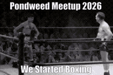 Pondweed Boxing GIF - Pondweed Boxing GIFs