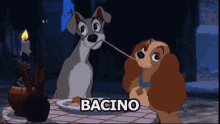 lady tramp