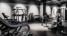 experienced fitness equipment technician buy new and used fitness equipment certified used fitness equipment install fitness equipment treadmill equipment experienced fitness equipment technician buy new and used fitness equipment certified used fitness equipment install fitness equipment treadmill equipment