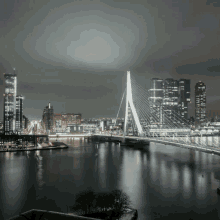 Rotterdam Morning GIF - Rotterdam Morning Kikki GIFs