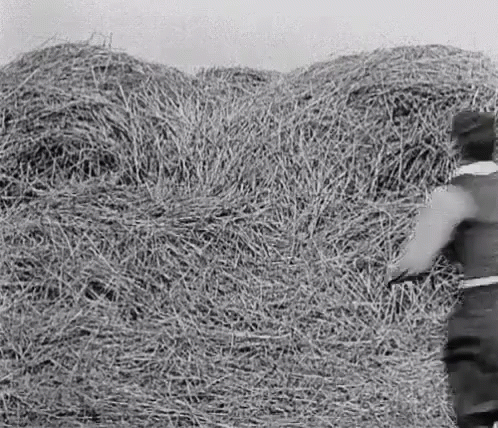Haystack Dive GIF - Haystack Dive - Discover & Share GIFs
