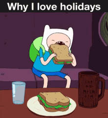 Why I Love Holidays Finn GIF - Why I Love Holidays Finn Adventuretime GIFs