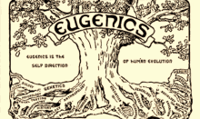 Eugenics American Eugenics GIF - Eugenics American Eugenics Fitter Families GIFs