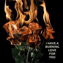 I Have A Burning Love For You Fire GIF - I Have A Burning Love For You Fire Flame GIFs