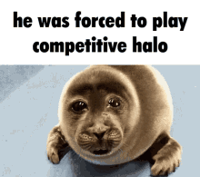 Halo Halo Infinite GIF - Halo Halo Infinite Competitive GIFs