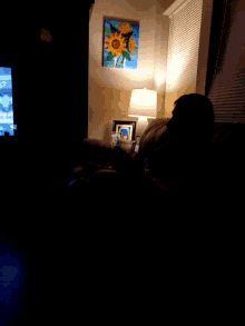 When Looking At The Tv Television GIF - When Looking At The Tv Television Watching GIFs