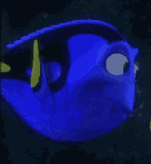 Finding Nemo Talking GIF - Finding Nemo Talking Dory GIFs