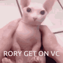 Rory Get GIF - Rory Get On GIFs