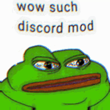 discord mod you discord mod what a discord mod your a discord mod
