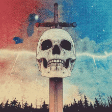 skull skull